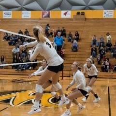 Volleyball completes second straight sweep
